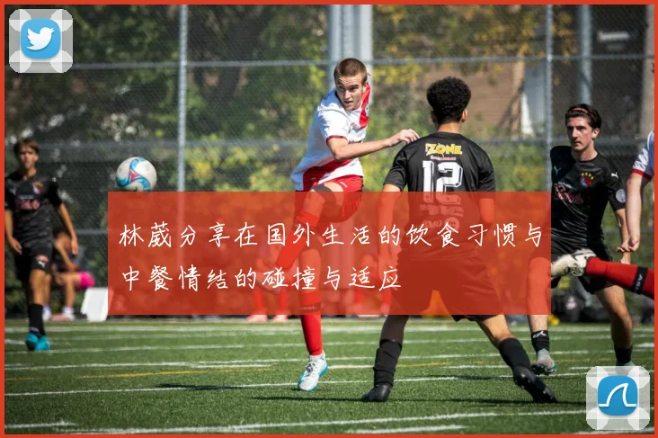 林葳分享在国外生活的饮食习惯与中餐情结的碰撞与适应