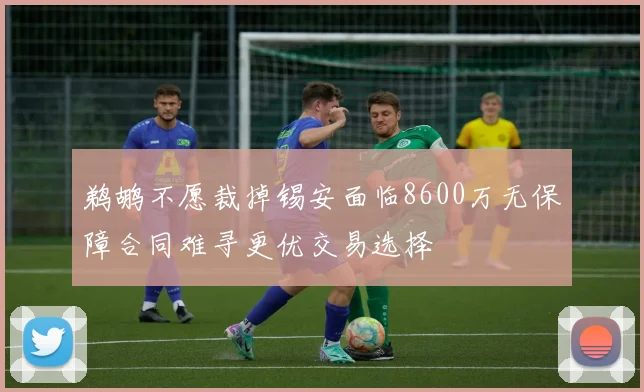 鹈鹕不愿裁掉锡安面临8600万无保障合同难寻更优交易选择