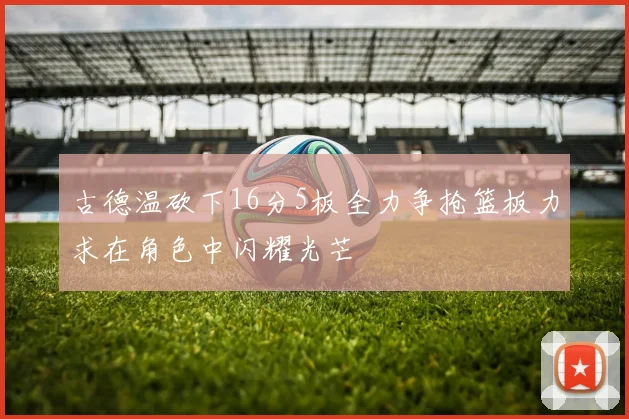 古德温砍下16分5板全力争抢篮板力求在角色中闪耀光芒