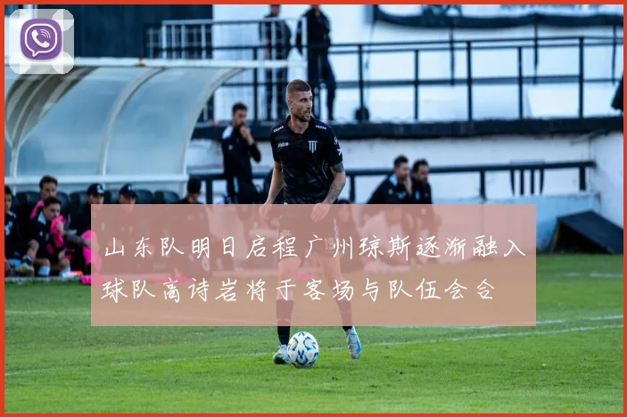 山东队明日启程广州琼斯逐渐融入球队高诗岩将于客场与队伍会合